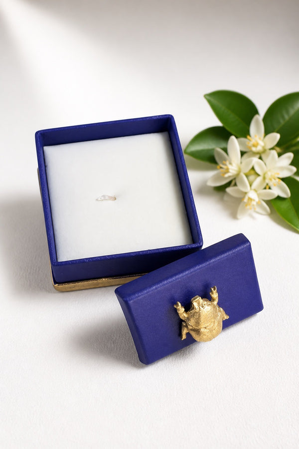 The Scarab Candle